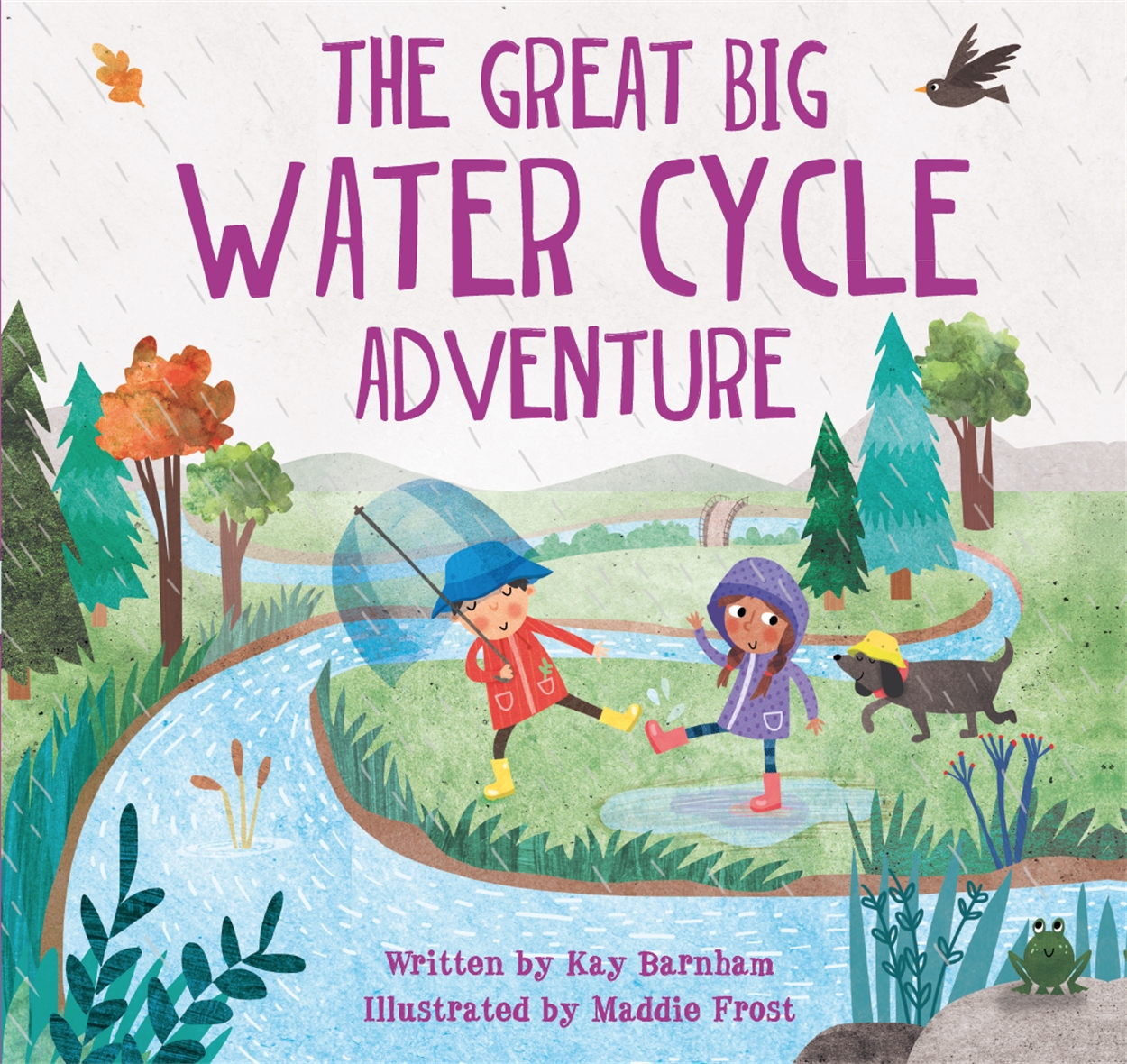 Look And Wonder The Great Big Water Cycle Adventure By Kay Barnham Hachette Childrens Uk