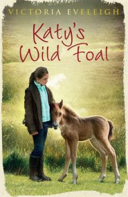 Katy's Exmoor Ponies: Katy's Wild Foal