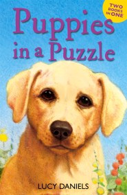 Animal Ark: Puppies in a Puzzle