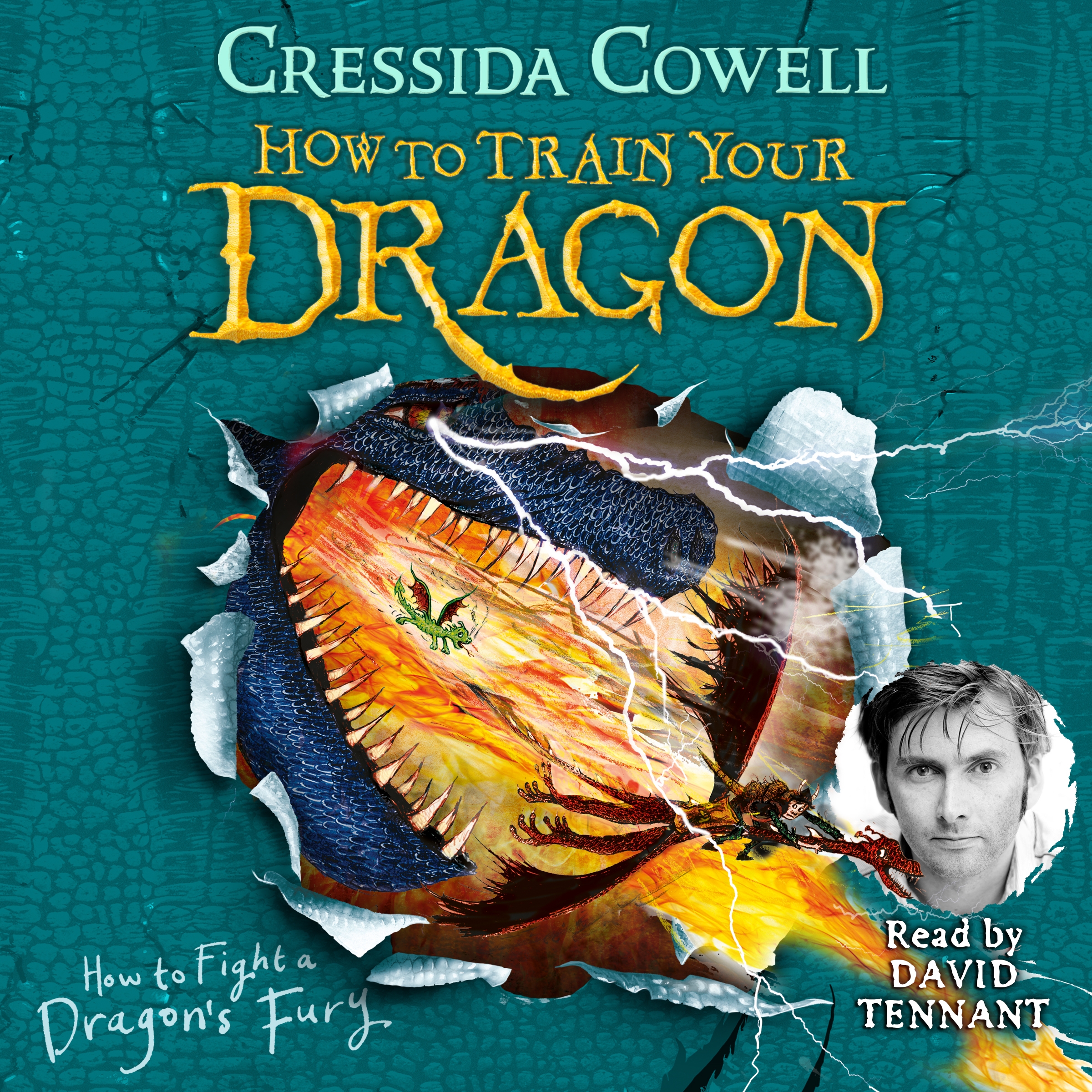 How to Train Your Dragon How to Fight a Dragon's Fury by