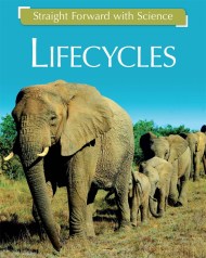 Straight Forward with Science: Life Cycles