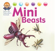 Nora the Naturalist’s Animals: Minibeasts