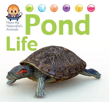 Nora the Naturalist’s Animals: Pond Life