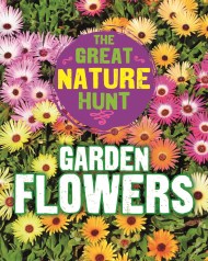 The Great Nature Hunt: Garden Flowers