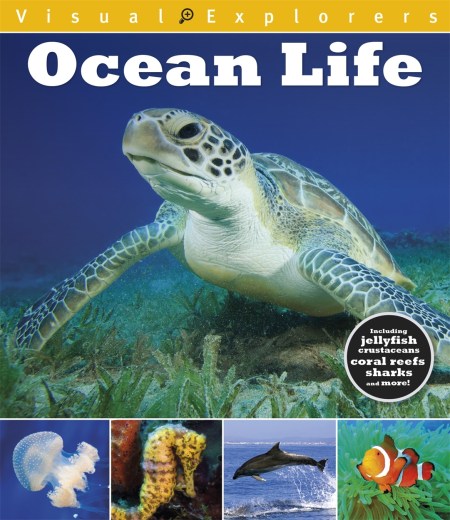 Visual Explorers: Ocean Life