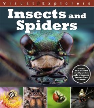 Visual Explorers: Insects and Spiders