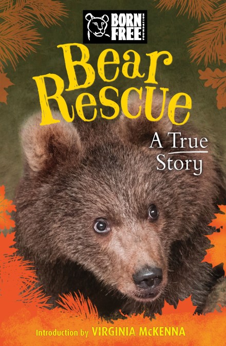 Born Free: Bear Rescue