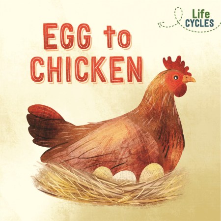 Life Cycles: Egg to Chicken