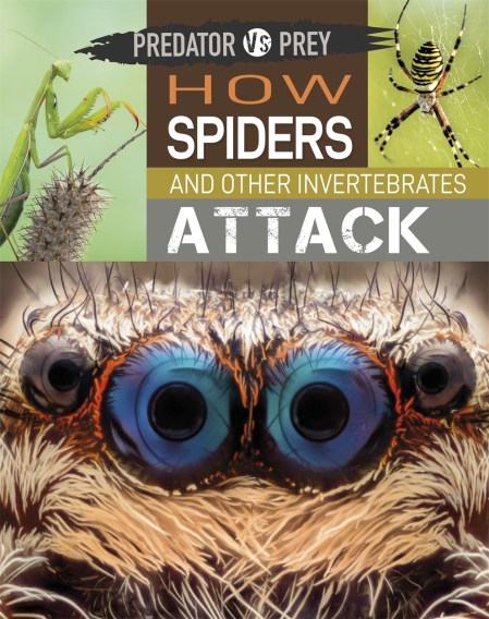 Predator vs Prey: How Spiders and other Invertebrates Attack