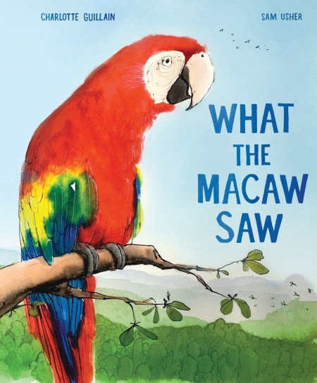 What the Macaw Saw